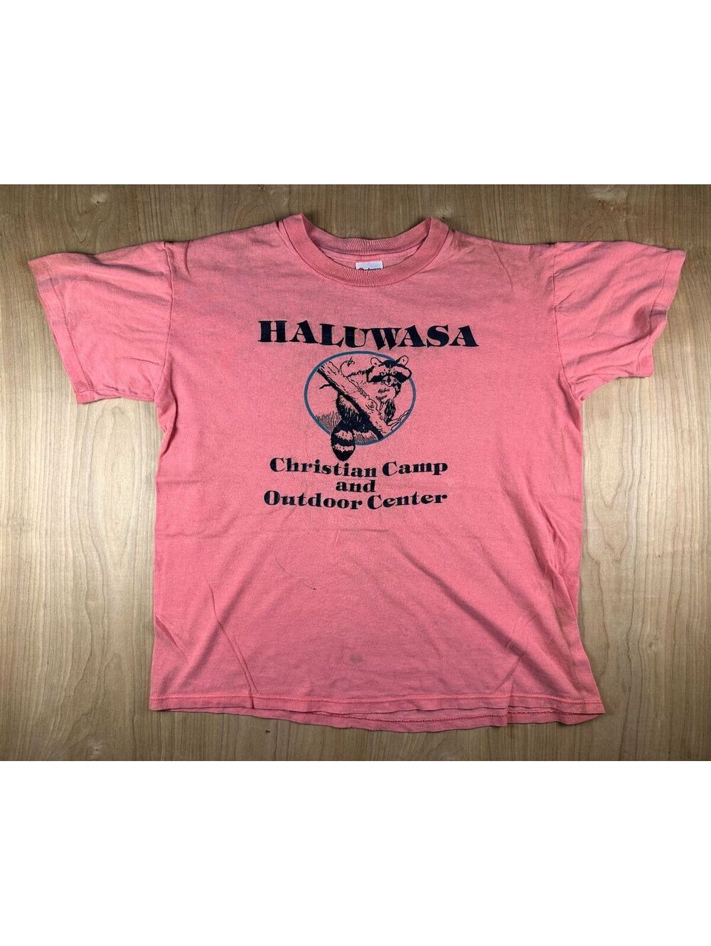 Vintage 80s Haluwasa tshirt large christian camp outdoor center raccoon boxy